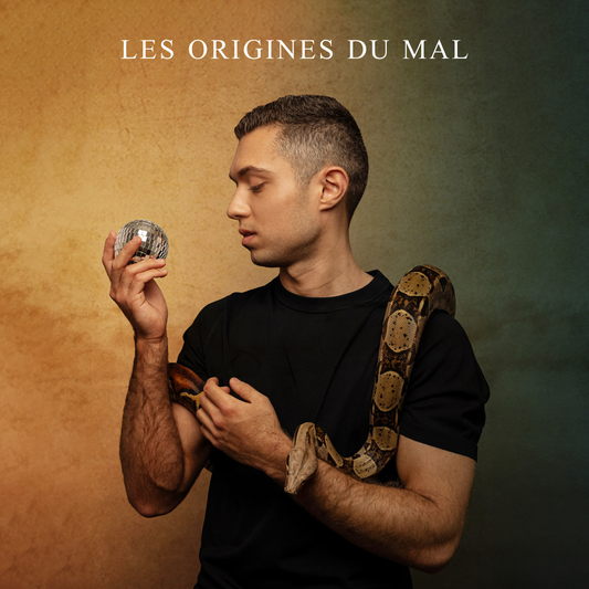 Album Noir - Les Origines Du Mal [DISQUE - PRÉCOMMANDE - 22/11/2024]